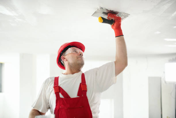 Best Environmental Consulting for Mold Prevention  in Plainfield, NJ