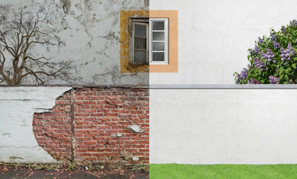 Best Mold Odor Removal Services  in Plainfield, NJ